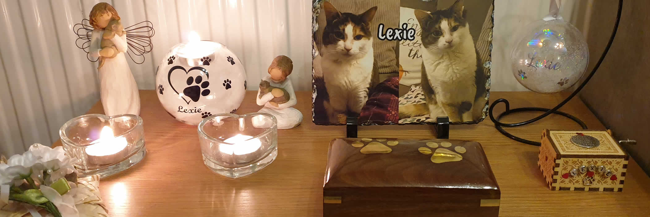 cat pallivet